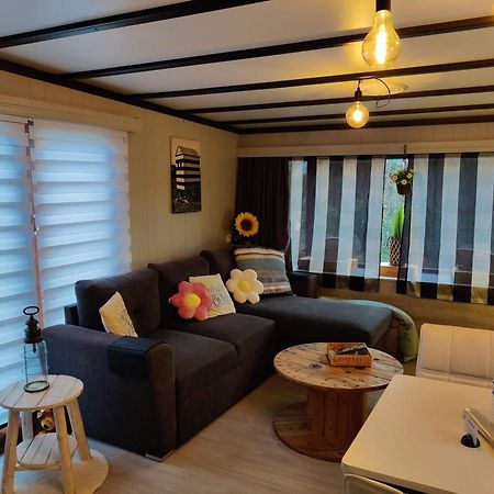 מלון Tiny Beachhouse Belgium, וונדואן מראה חיצוני תמונה