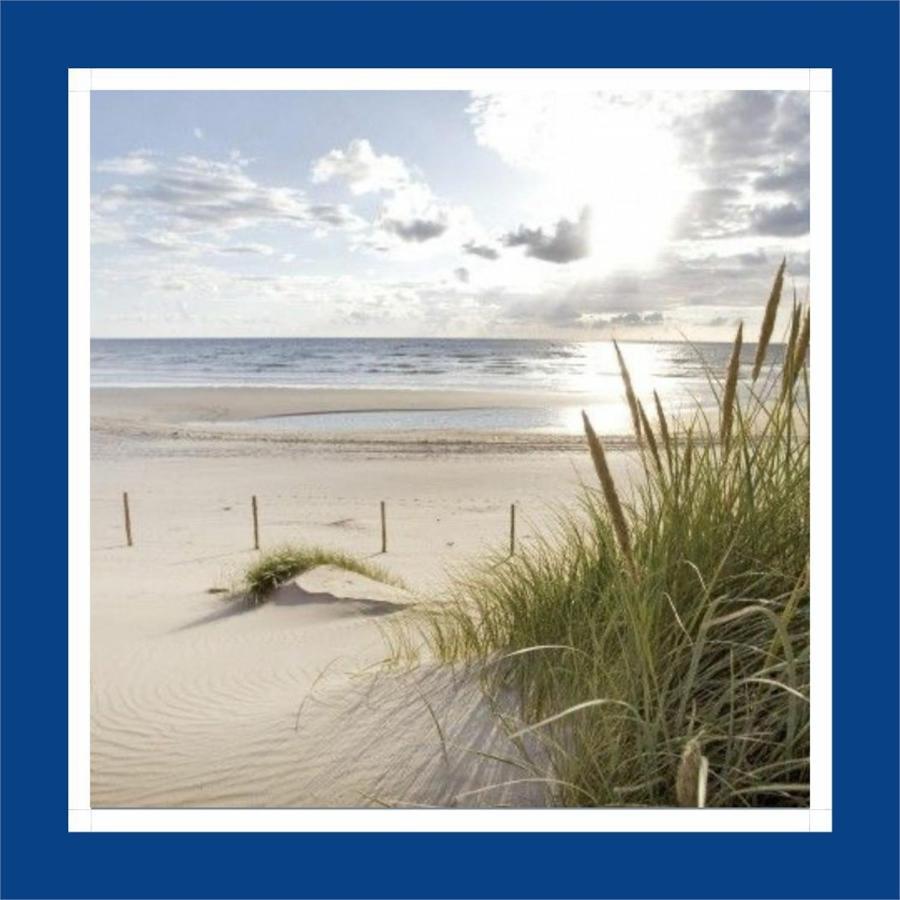 מלון Tiny Beachhouse Belgium, וונדואן מראה חיצוני תמונה