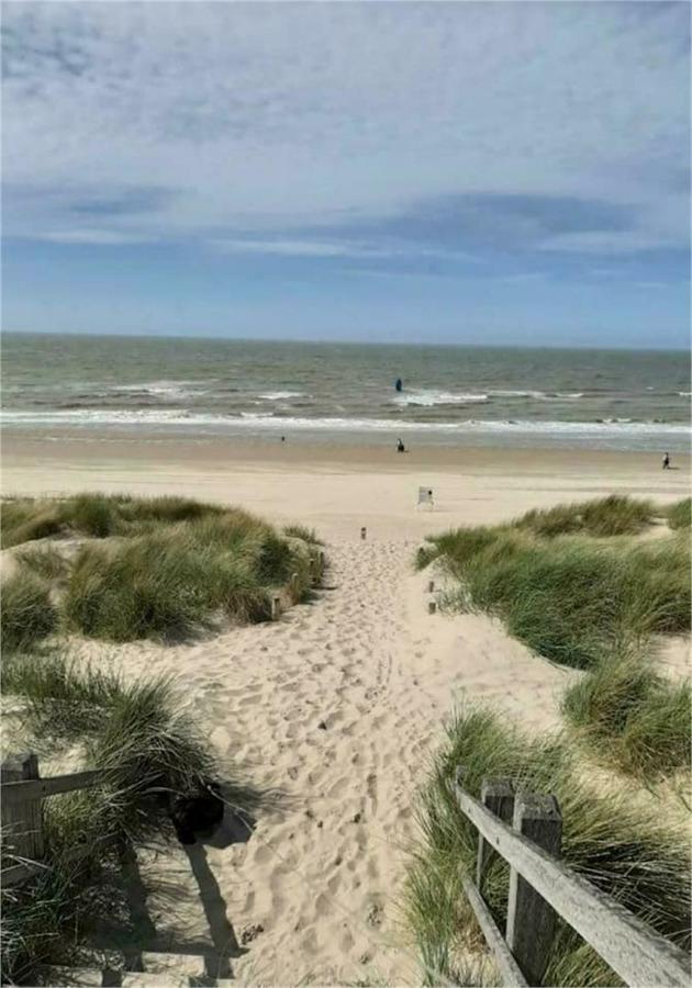 מלון Tiny Beachhouse Belgium, וונדואן מראה חיצוני תמונה
